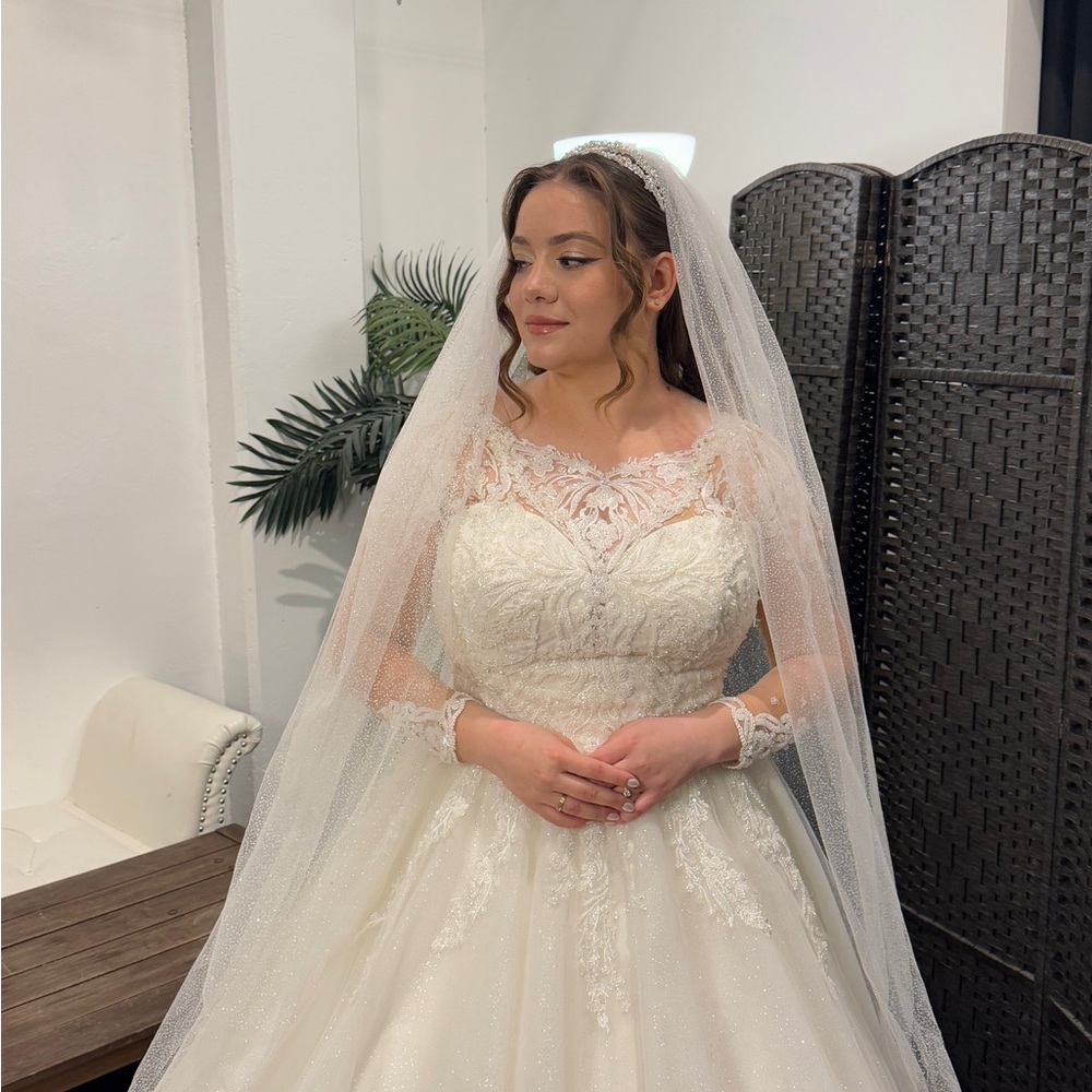 Elegant Lace Wedding Dress with Veil